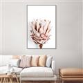 Picture of Soft Protea _GroupedProduct_Rectangle_Portrait_Photography _GroupedProduct_Rectangle_Portrait_Canvas_Framed_