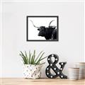 Picture of Spotted Bull  _GroupedProduct_Rectangle_Landscape_Photography _GroupedProduct_Rectangle_Landscape_Canvas_Framed_