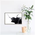 Picture of Spotted Bull  _GroupedProduct_Rectangle_Landscape_Photography _GroupedProduct_Rectangle_Landscape_Canvas_Framed_