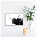 Picture of Spotted Bull  _GroupedProduct_Rectangle_Landscape_Photography _GroupedProduct_Rectangle_Landscape_Canvas_Framed_