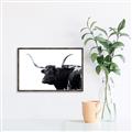 Picture of Spotted Bull  _GroupedProduct_Rectangle_Landscape_Photography _GroupedProduct_Rectangle_Landscape_Canvas_Framed_