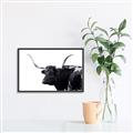 Picture of Spotted Bull  _GroupedProduct_Rectangle_Landscape_Photography _GroupedProduct_Rectangle_Landscape_Canvas_Framed_