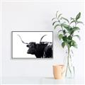 Picture of Spotted Bull  _GroupedProduct_Rectangle_Landscape_Photography _GroupedProduct_Rectangle_Landscape_Canvas_Framed_