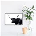 Picture of Spotted Bull  _GroupedProduct_Rectangle_Landscape_Photography _GroupedProduct_Rectangle_Landscape_Canvas_Framed_