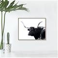 Picture of Spotted Bull  _GroupedProduct_Rectangle_Landscape_Photography _GroupedProduct_Rectangle_Landscape_Canvas_Framed_