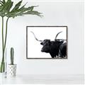 Picture of Spotted Bull  _GroupedProduct_Rectangle_Landscape_Photography _GroupedProduct_Rectangle_Landscape_Canvas_Framed_