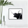 Picture of Spotted Bull  _GroupedProduct_Rectangle_Landscape_Photography _GroupedProduct_Rectangle_Landscape_Canvas_Framed_