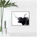 Picture of Spotted Bull  _GroupedProduct_Rectangle_Landscape_Photography _GroupedProduct_Rectangle_Landscape_Canvas_Framed_
