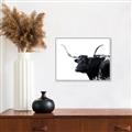 Picture of Spotted Bull  _GroupedProduct_Rectangle_Landscape_Photography _GroupedProduct_Rectangle_Landscape_Canvas_Framed_