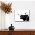 Picture of Spotted Bull  _GroupedProduct_Rectangle_Landscape_Photography _GroupedProduct_Rectangle_Landscape_Canvas_Framed_