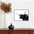 Picture of Spotted Bull  _GroupedProduct_Rectangle_Landscape_Photography _GroupedProduct_Rectangle_Landscape_Canvas_Framed_