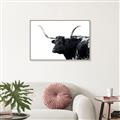 Picture of Spotted Bull  _GroupedProduct_Rectangle_Landscape_Photography _GroupedProduct_Rectangle_Landscape_Canvas_Framed_
