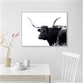 Picture of Spotted Bull  _GroupedProduct_Rectangle_Landscape_Photography _GroupedProduct_Rectangle_Landscape_Canvas_Framed_