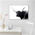 Picture of Spotted Bull  _GroupedProduct_Rectangle_Landscape_Photography _GroupedProduct_Rectangle_Landscape_Canvas_Framed_