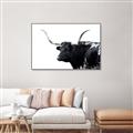 Picture of Spotted Bull  _GroupedProduct_Rectangle_Landscape_Photography _GroupedProduct_Rectangle_Landscape_Canvas_Framed_