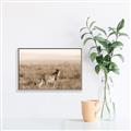 Picture of Spotted in the Savanna  _GroupedProduct_Rectangle_Landscape_Photography _GroupedProduct_Rectangle_Landscape_Canvas_Framed_