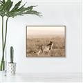 Picture of Spotted in the Savanna  _GroupedProduct_Rectangle_Landscape_Photography _GroupedProduct_Rectangle_Landscape_Canvas_Framed_