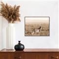 Picture of Spotted in the Savanna  _GroupedProduct_Rectangle_Landscape_Photography _GroupedProduct_Rectangle_Landscape_Canvas_Framed_