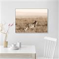 Picture of Spotted in the Savanna  _GroupedProduct_Rectangle_Landscape_Photography _GroupedProduct_Rectangle_Landscape_Canvas_Framed_
