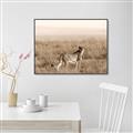 Picture of Spotted in the Savanna  _GroupedProduct_Rectangle_Landscape_Photography _GroupedProduct_Rectangle_Landscape_Canvas_Framed_