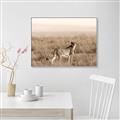 Picture of Spotted in the Savanna  _GroupedProduct_Rectangle_Landscape_Photography _GroupedProduct_Rectangle_Landscape_Canvas_Framed_