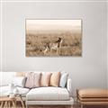 Picture of Spotted in the Savanna  _GroupedProduct_Rectangle_Landscape_Photography _GroupedProduct_Rectangle_Landscape_Canvas_Framed_