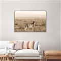 Picture of Spotted in the Savanna  _GroupedProduct_Rectangle_Landscape_Photography _GroupedProduct_Rectangle_Landscape_Canvas_Framed_