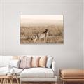 Picture of Spotted in the Savanna  _GroupedProduct_Rectangle_Landscape_Photography _GroupedProduct_Rectangle_Landscape_Canvas_Framed_