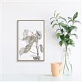 Picture of Sprout & Jar _GroupedProduct_Rectangle_Portrait_Photography _GroupedProduct_Rectangle_Portrait_Canvas_Framed_