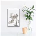 Picture of Sprout & Jar _GroupedProduct_Rectangle_Portrait_Photography _GroupedProduct_Rectangle_Portrait_Canvas_Framed_