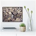 Picture of Stacked Logs _GroupedProduct_Rectangle_Landscape_Photography _GroupedProduct_Rectangle_Landscape_Canvas_Framed_