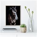 Picture of Stallion _GroupedProduct_Rectangle_Portrait_Photography _GroupedProduct_Rectangle_Portrait_Canvas_Framed_