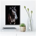 Picture of Stallion _GroupedProduct_Rectangle_Portrait_Photography _GroupedProduct_Rectangle_Portrait_Canvas_Framed_