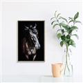 Picture of Stallion _GroupedProduct_Rectangle_Portrait_Photography _GroupedProduct_Rectangle_Portrait_Canvas_Framed_