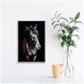 Picture of Stallion _GroupedProduct_Rectangle_Portrait_Photography _GroupedProduct_Rectangle_Portrait_Canvas_Framed_