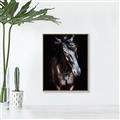Picture of Stallion _GroupedProduct_Rectangle_Portrait_Photography _GroupedProduct_Rectangle_Portrait_Canvas_Framed_