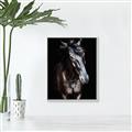 Picture of Stallion _GroupedProduct_Rectangle_Portrait_Photography _GroupedProduct_Rectangle_Portrait_Canvas_Framed_