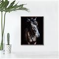 Picture of Stallion _GroupedProduct_Rectangle_Portrait_Photography _GroupedProduct_Rectangle_Portrait_Canvas_Framed_