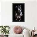 Picture of Stallion _GroupedProduct_Rectangle_Portrait_Photography _GroupedProduct_Rectangle_Portrait_Canvas_Framed_
