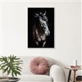 Picture of Stallion _GroupedProduct_Rectangle_Portrait_Photography _GroupedProduct_Rectangle_Portrait_Canvas_Framed_