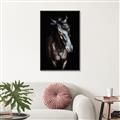 Picture of Stallion _GroupedProduct_Rectangle_Portrait_Photography _GroupedProduct_Rectangle_Portrait_Canvas_Framed_