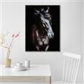 Picture of Stallion _GroupedProduct_Rectangle_Portrait_Photography _GroupedProduct_Rectangle_Portrait_Canvas_Framed_