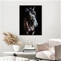 Picture of Stallion _GroupedProduct_Rectangle_Portrait_Photography _GroupedProduct_Rectangle_Portrait_Canvas_Framed_