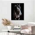 Picture of Stallion _GroupedProduct_Rectangle_Portrait_Photography _GroupedProduct_Rectangle_Portrait_Canvas_Framed_