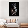 Picture of Stallion _GroupedProduct_Rectangle_Portrait_Photography _GroupedProduct_Rectangle_Portrait_Canvas_Framed_