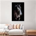 Picture of Stallion _GroupedProduct_Rectangle_Portrait_Photography _GroupedProduct_Rectangle_Portrait_Canvas_Framed_