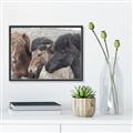 Picture of Untamed Beauties   _GroupedProduct_Rectangle_Landscape_Photography _GroupedProduct_Rectangle_Landscape_Canvas_Framed_