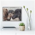 Picture of Untamed Beauties   _GroupedProduct_Rectangle_Landscape_Photography _GroupedProduct_Rectangle_Landscape_Canvas_Framed_
