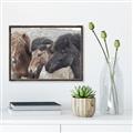 Picture of Untamed Beauties   _GroupedProduct_Rectangle_Landscape_Photography _GroupedProduct_Rectangle_Landscape_Canvas_Framed_