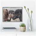 Picture of Untamed Beauties   _GroupedProduct_Rectangle_Landscape_Photography _GroupedProduct_Rectangle_Landscape_Canvas_Framed_